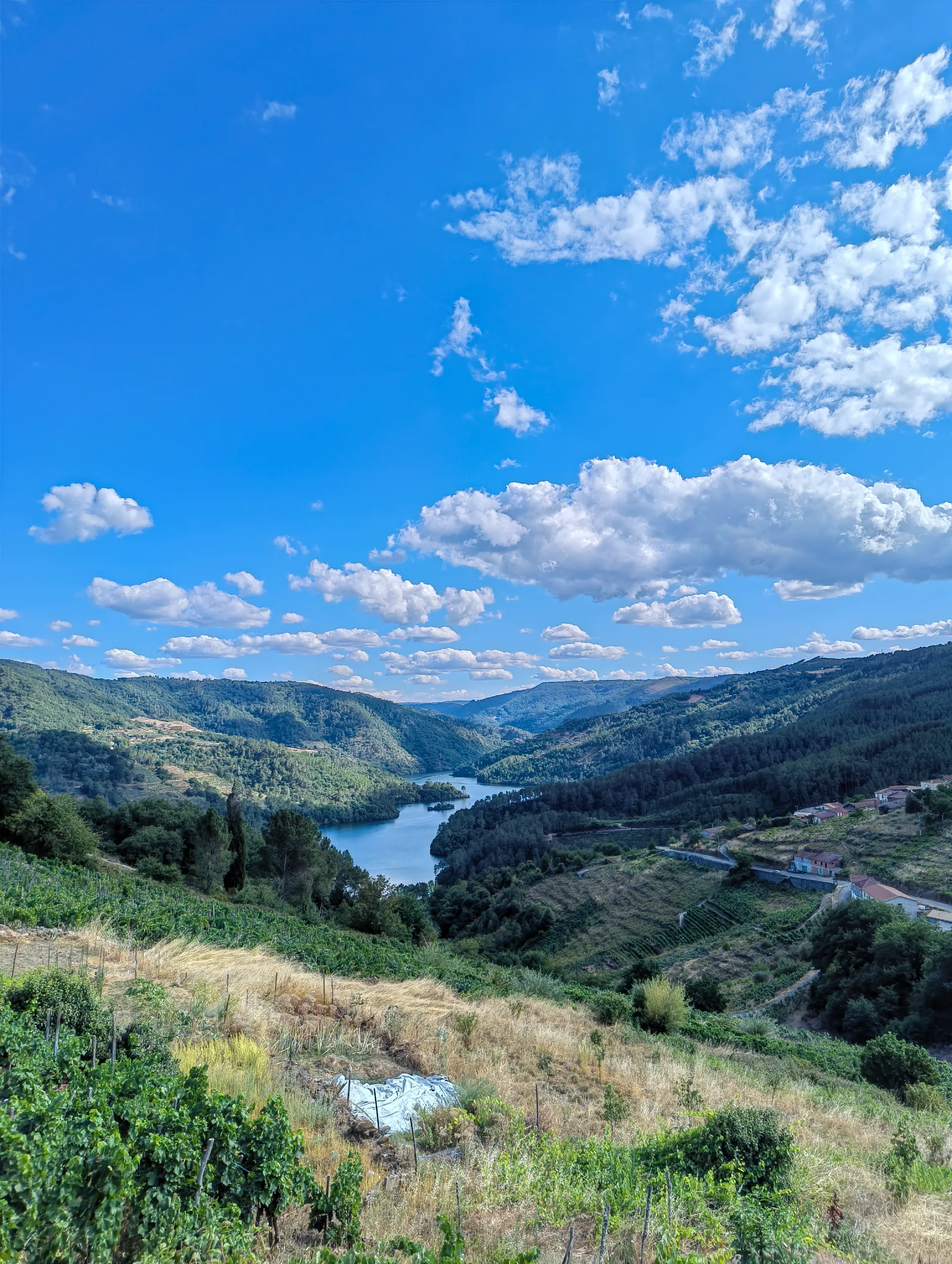 Green valleys and hills in Ribeira Sacra